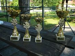 poháry pro vítězná družstva