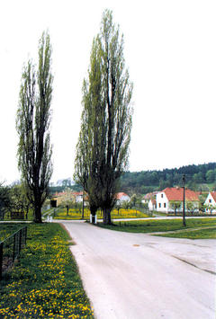 Nová Ves 1999, foto Ing. Ladislav Pouzar