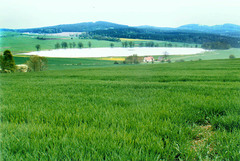Dolní novoveský rybník, rozloha 20 ha, foto Ing. Ladislav Pouzar