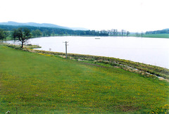 Dolní novoveský rybník, rozloha 20 ha, foto Ing. Ladislav Pouzar