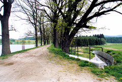 Dolní novoveský rybník, rozloha 20 ha, hráz