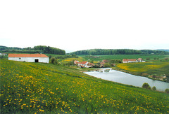Soukromý rybník Jílek v Českých Chalupách, rozloha 0,9 ha