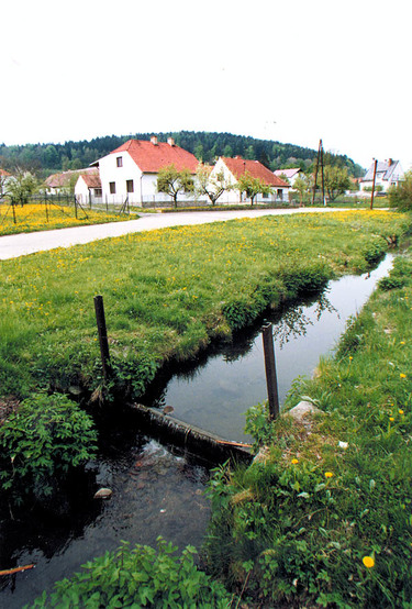 Novoveský potok s hradly na zadržení vody